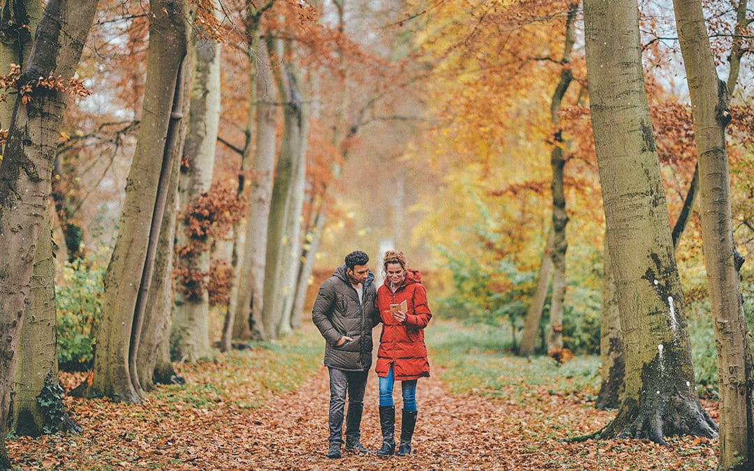 Wandelroutes in het park